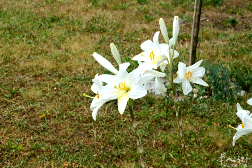 DSC_6830.JPG