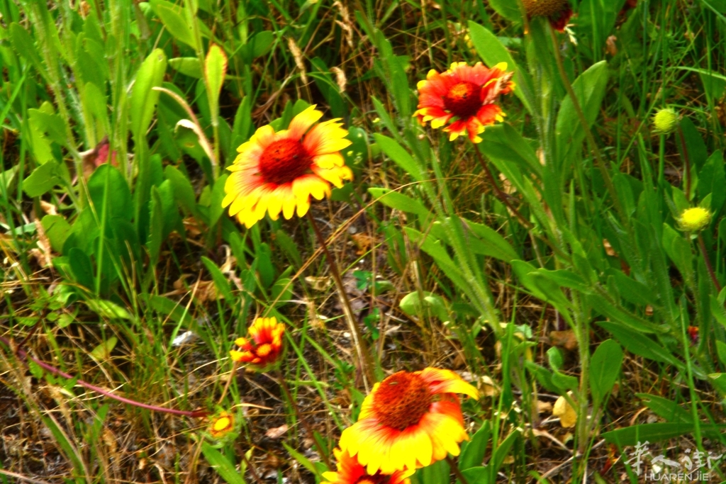 DSC_6831.JPG
