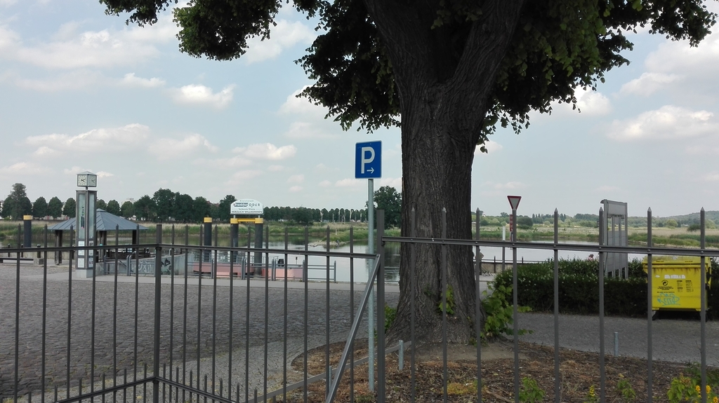 IMG_20150612_161330.jpg
