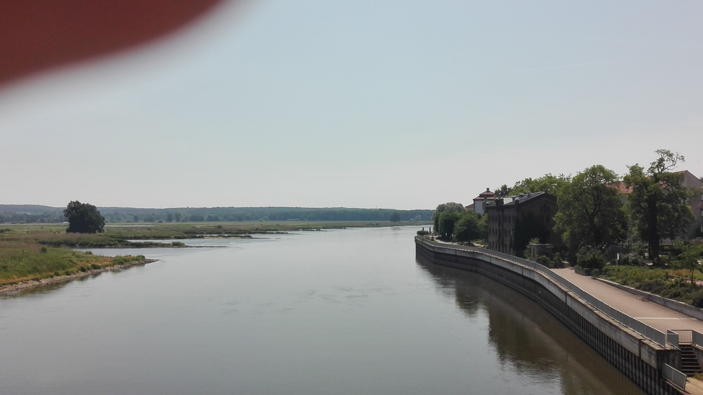 IMG_20150613_114101.jpg