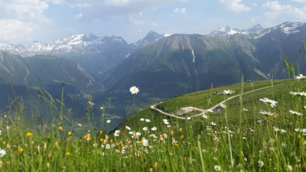 复件 2040401672.jpg