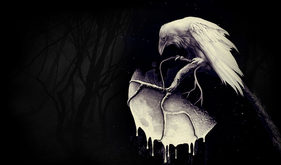 566293__dark-night-white-raven_p.jpg