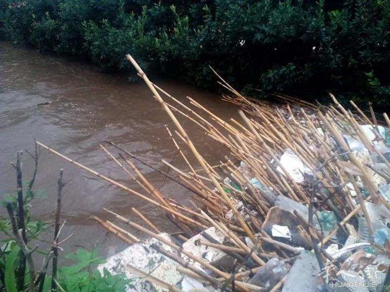 Allagamento via Massa Carciana 14.10.15 3 (foto Cesare Rascelli).jpg