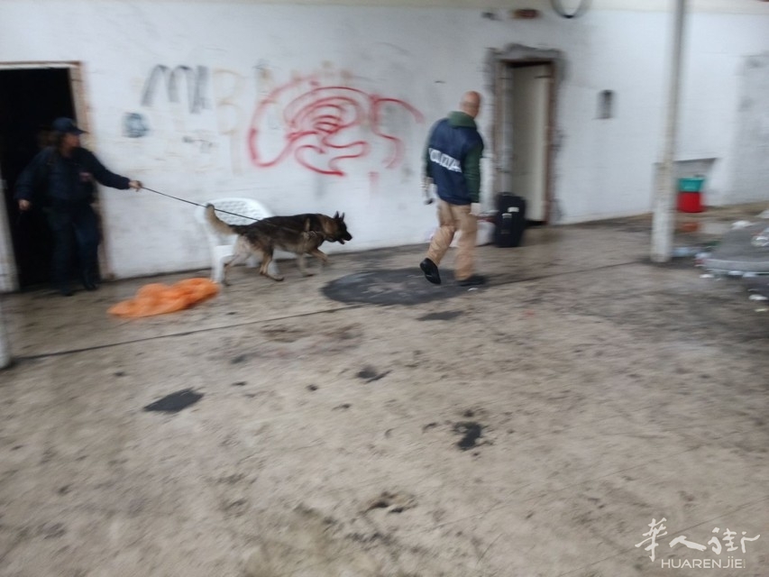 Blitz via Assisi 19 ottobre 2015 25.jpg