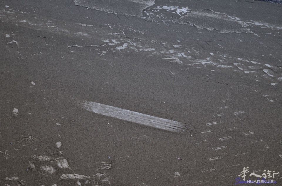 photo di Salvatore LoGiudice.jpg