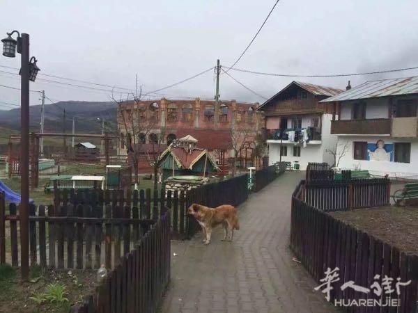 picture.jpg