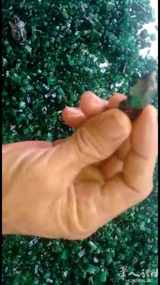 picture.jpg