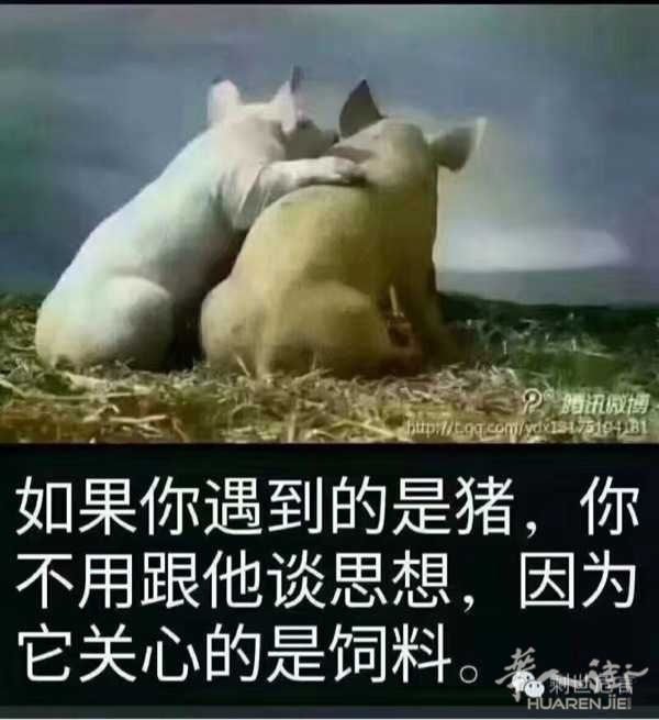 picture.jpg