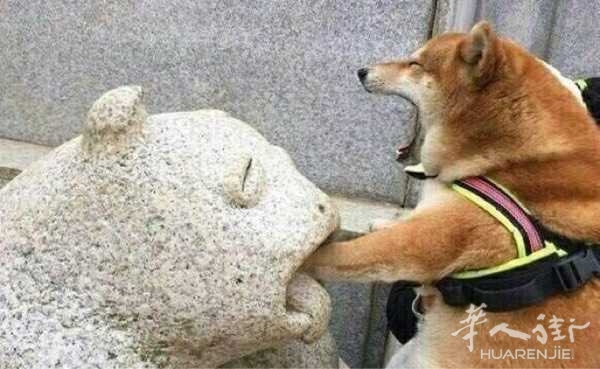 今天我哥问我,我嫂子去哪了。我说嫂子做头发