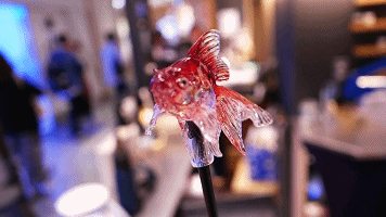 53e5d4f7ly1flqorrtriug209w05ke78.gif