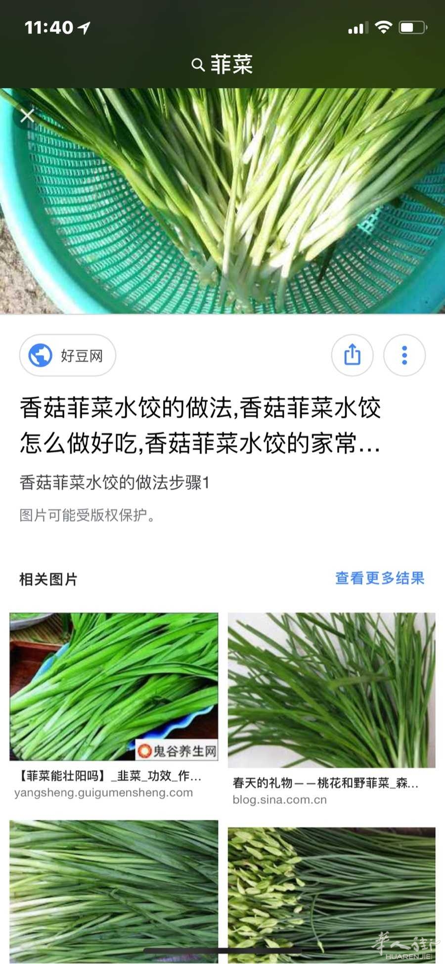 picture.jpg