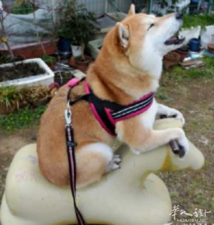 picture.jpg