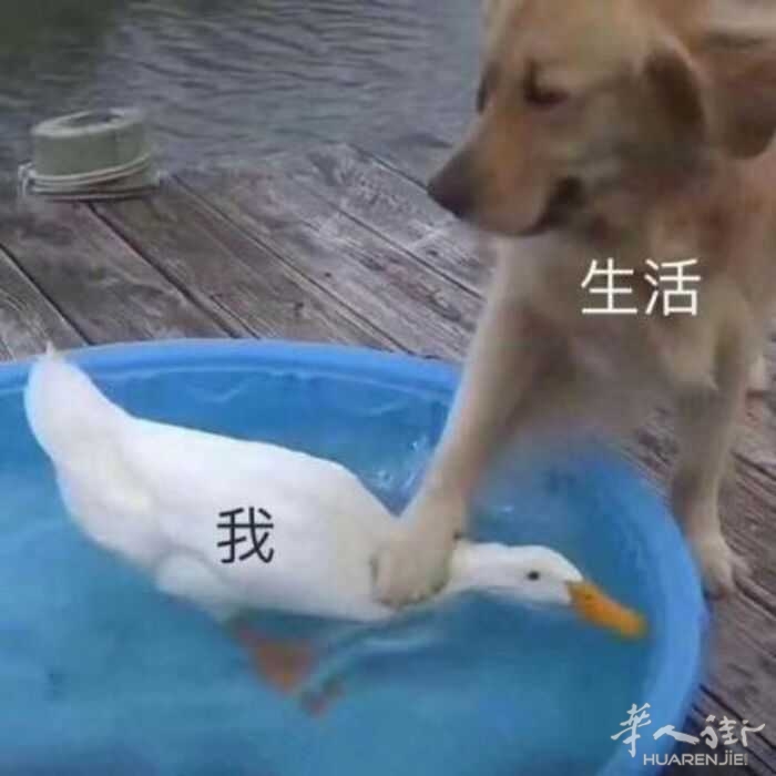 picture.jpg