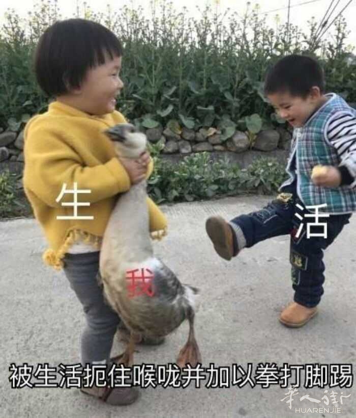 picture.jpg