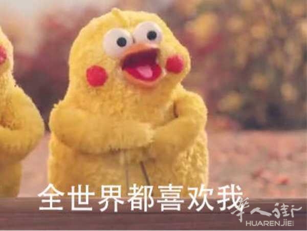 picture.jpg
