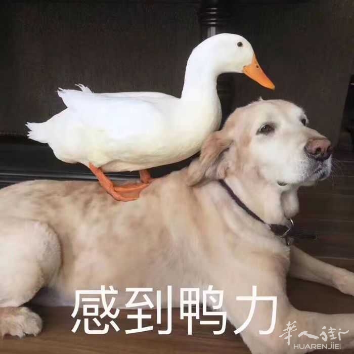 picture.jpg