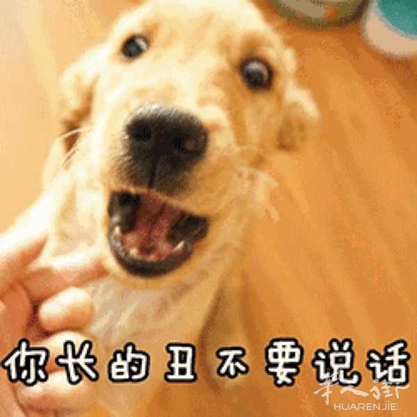 picture.jpg