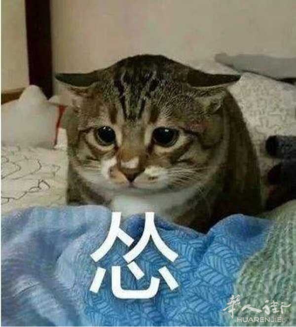 picture.jpg