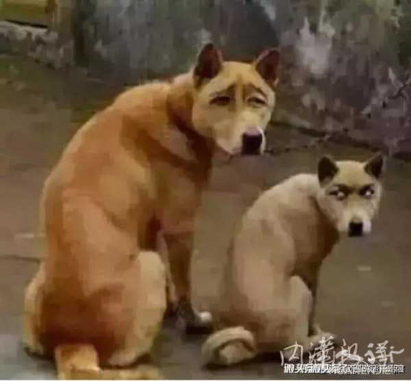 picture.jpg