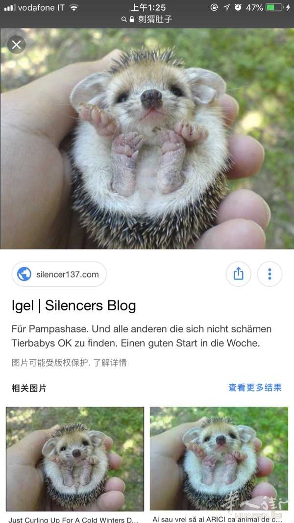 picture.jpg