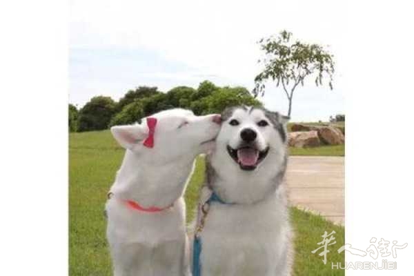 picture.jpg