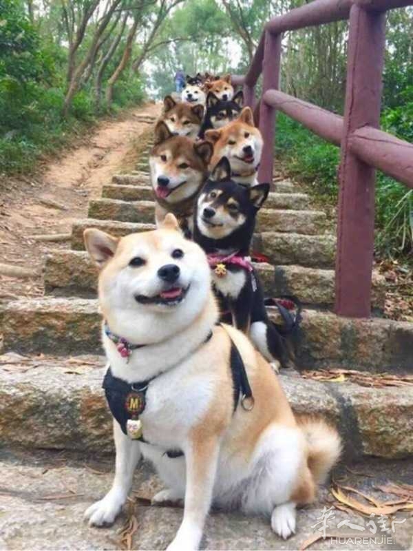 picture.jpg