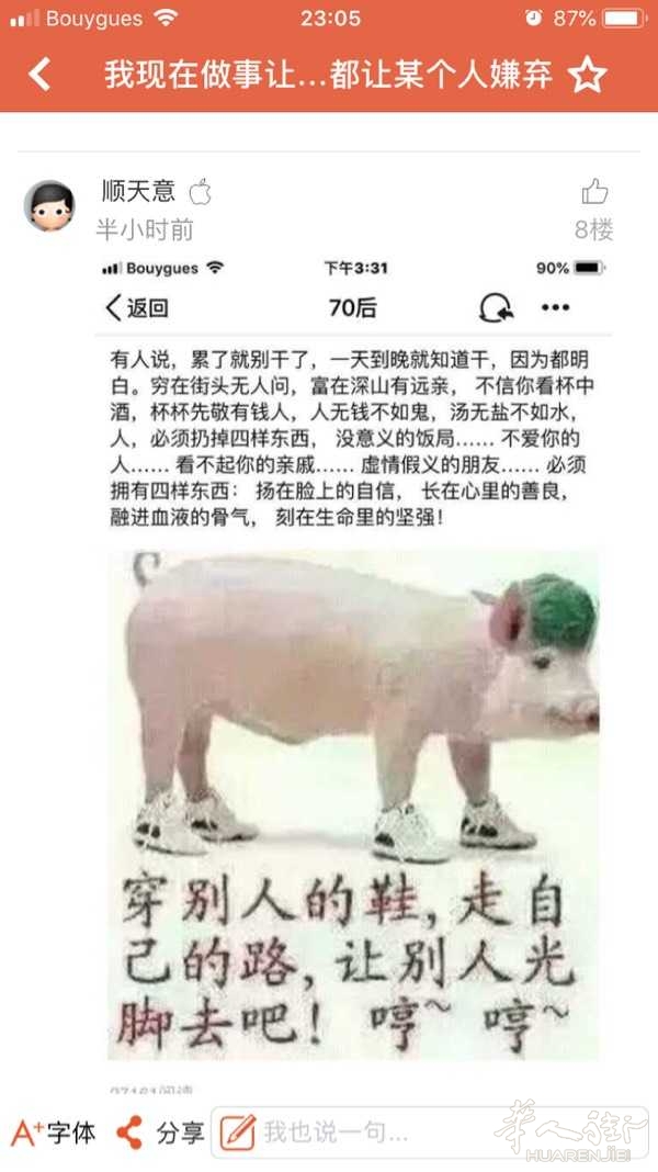 picture.jpg