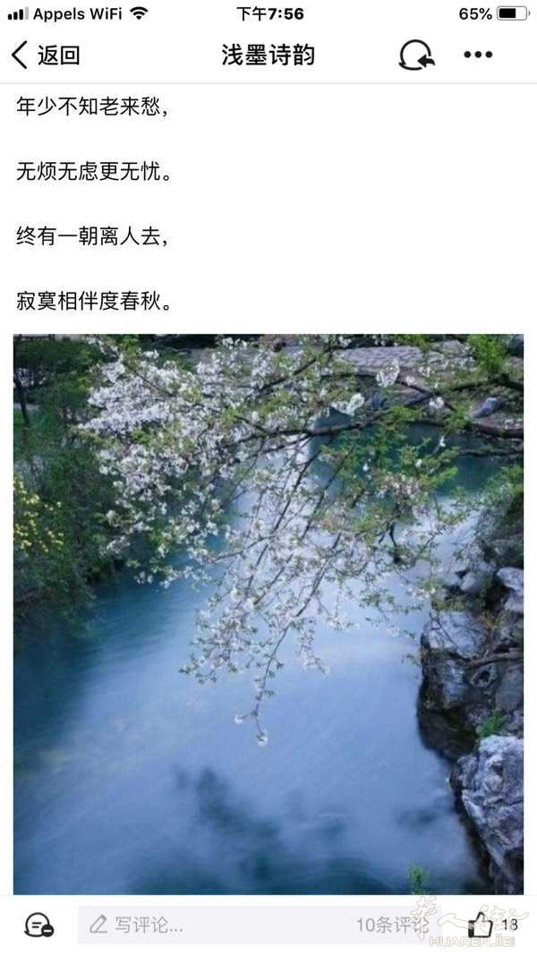 picture.jpg