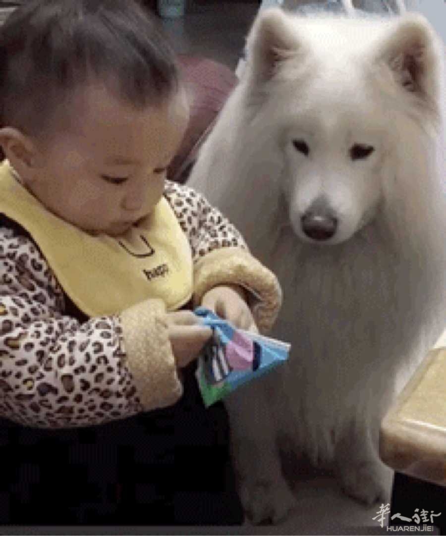 picture.jpg