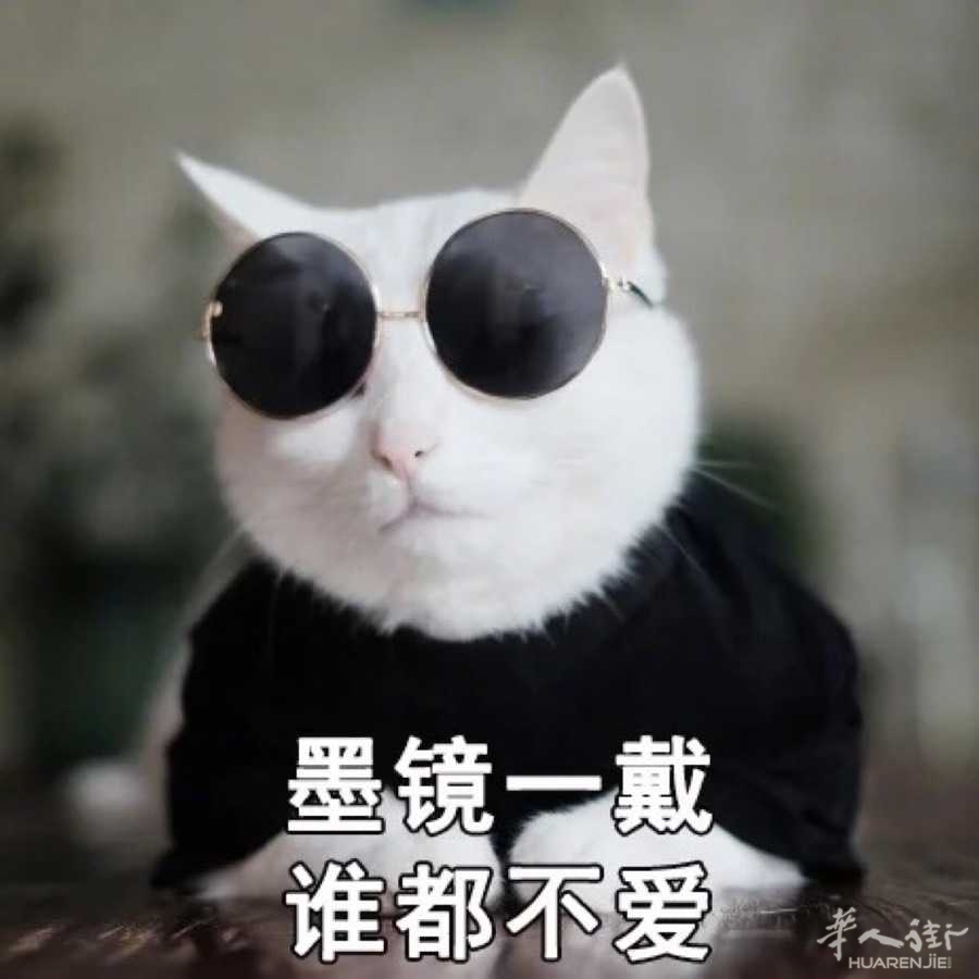 picture.jpg