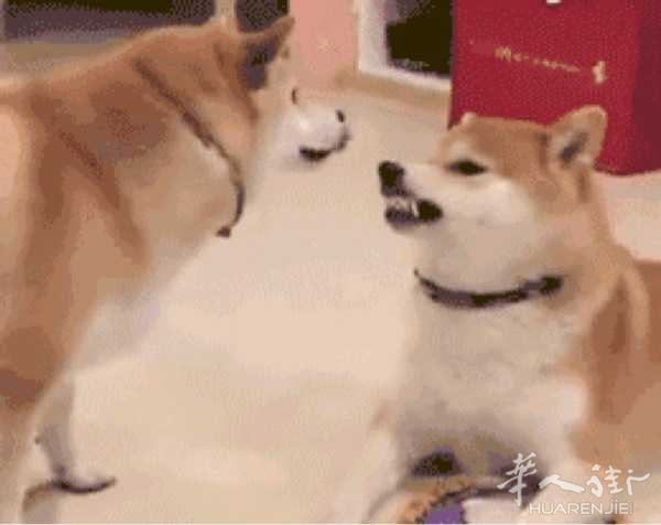 picture.jpg