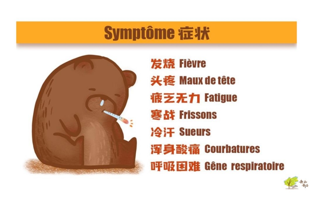 华人应对手册_12.jpg
