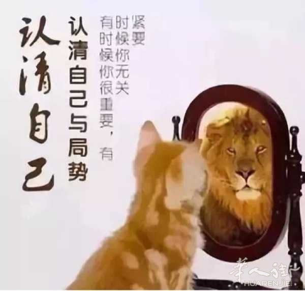 picture.jpg