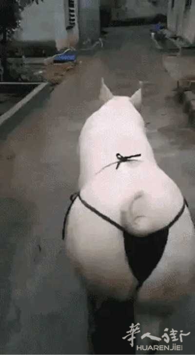 picture.jpg