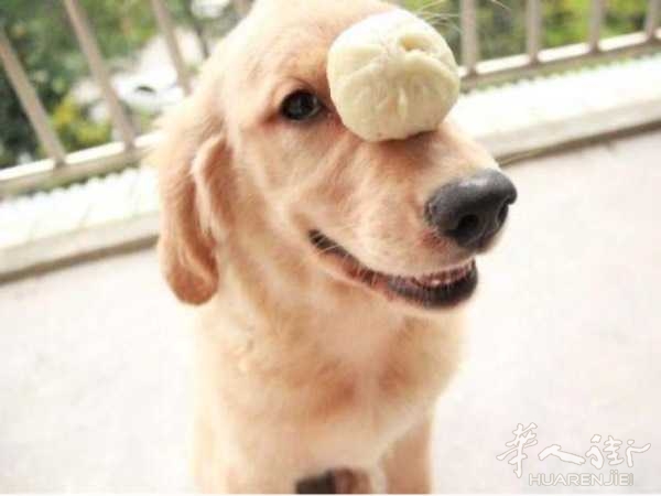 picture.jpg