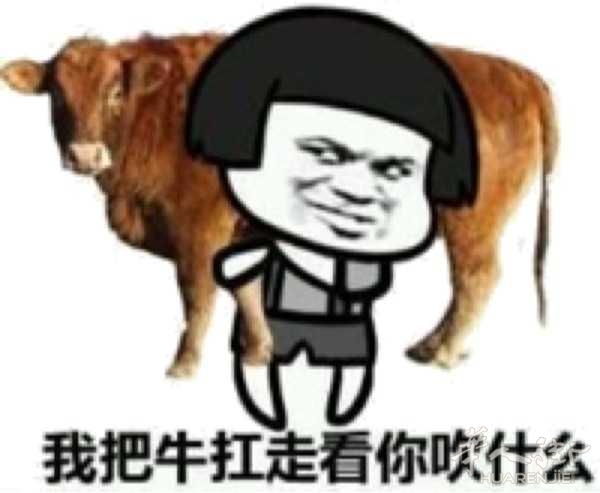 picture.jpg