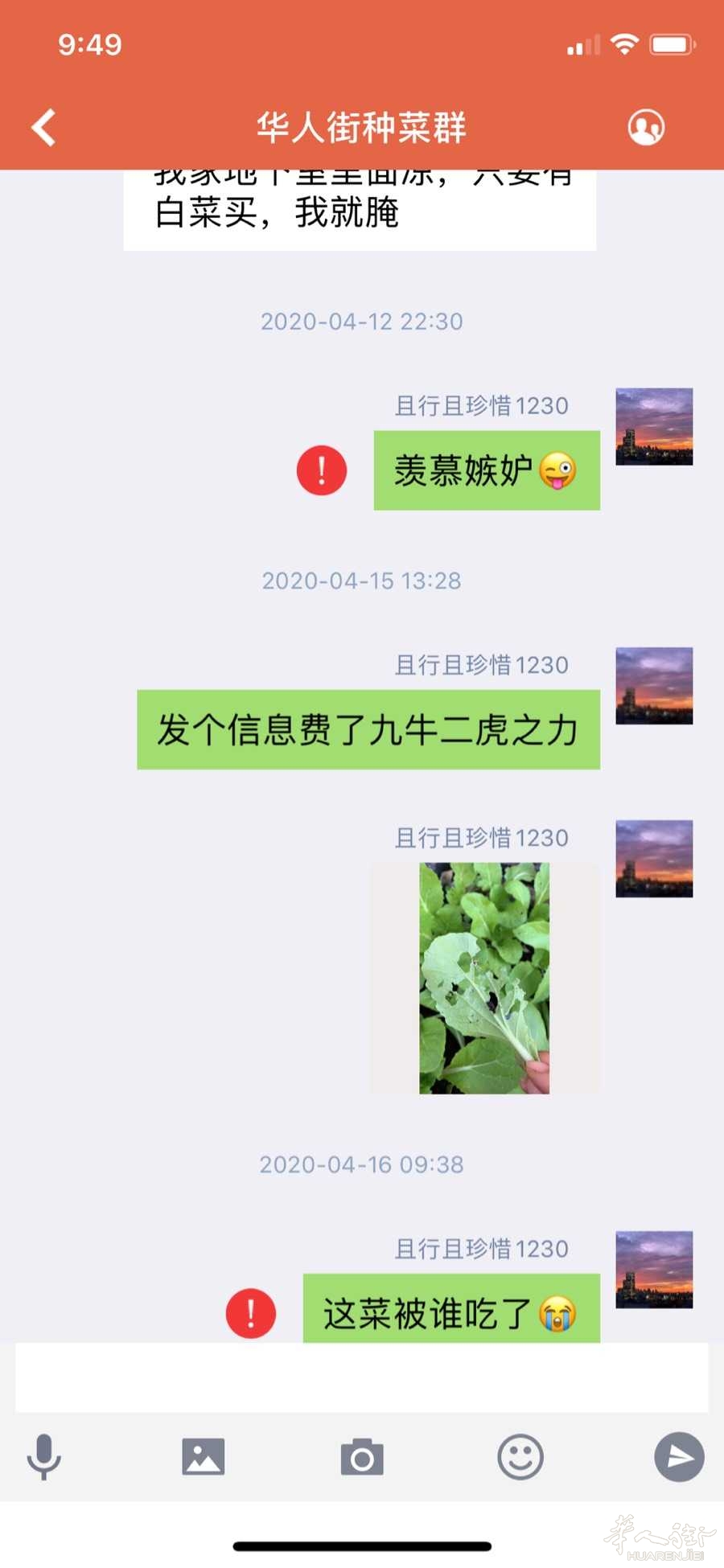picture.jpg