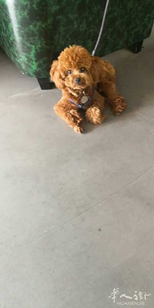 picture.jpg