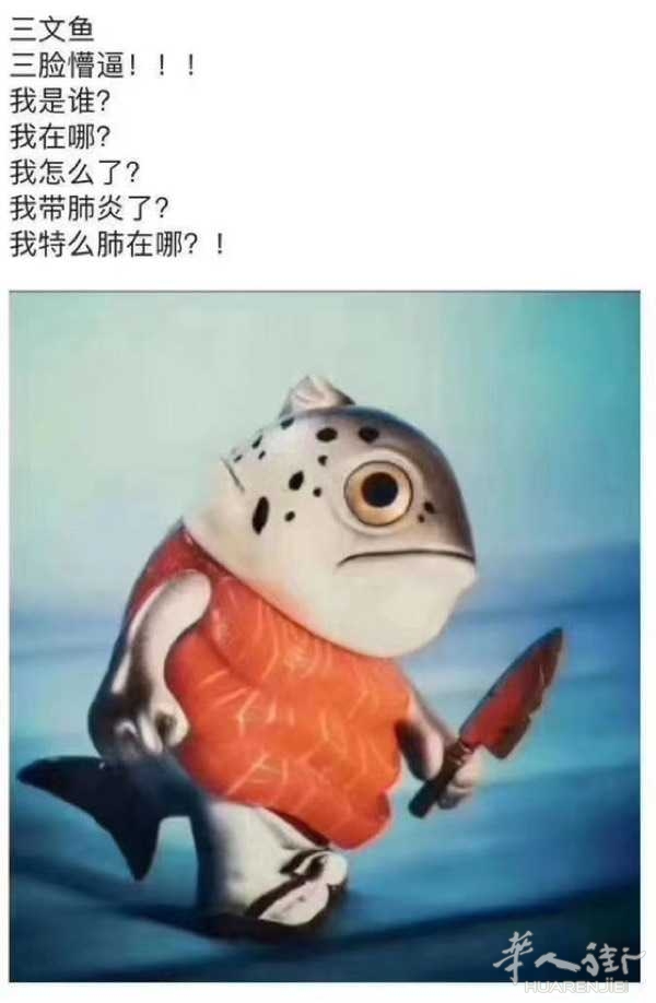 picture.jpg