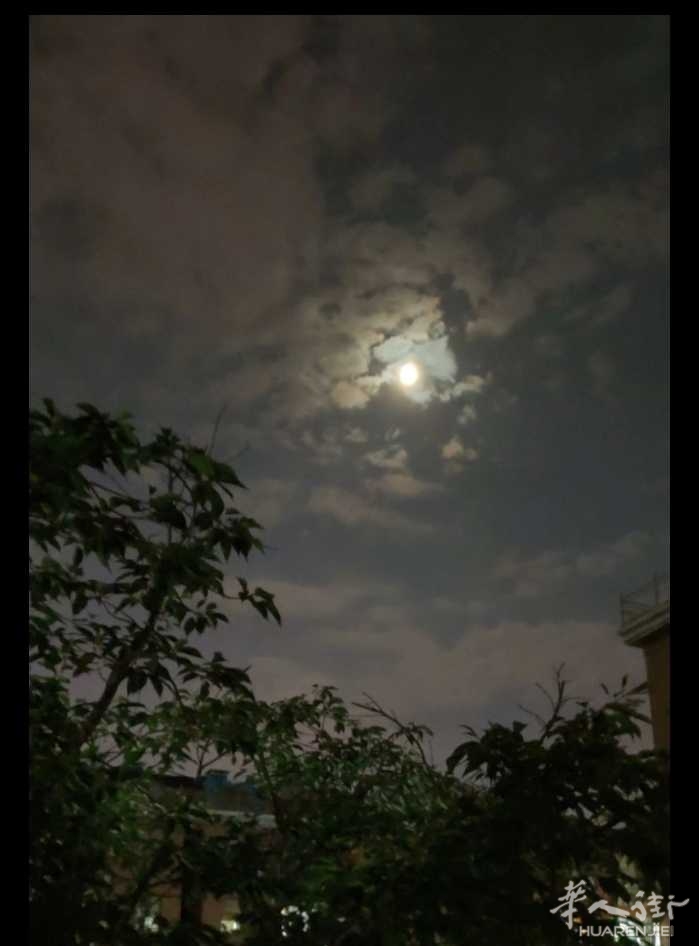 picture.jpg