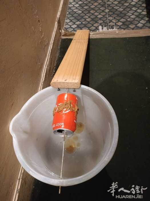 picture.jpg