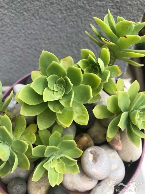 picture.jpg