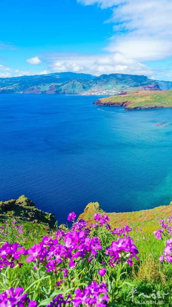 picture.jpg
