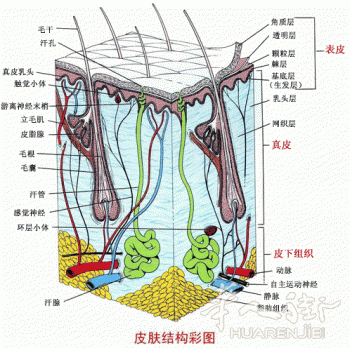 u13388433_13389eee398g213.gif