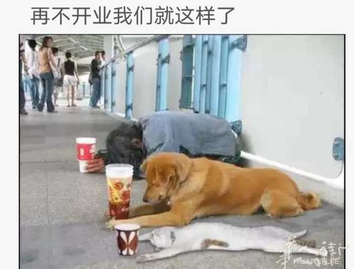 picture.jpg