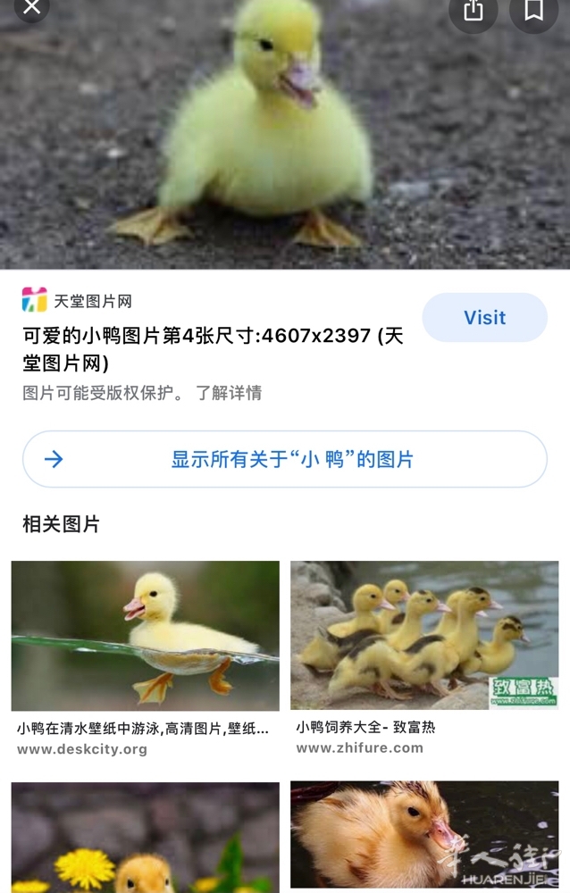 picture.jpg