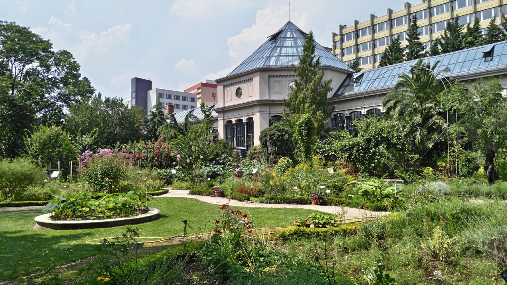 jardin-des-plantes-paris-all-year.jpeg