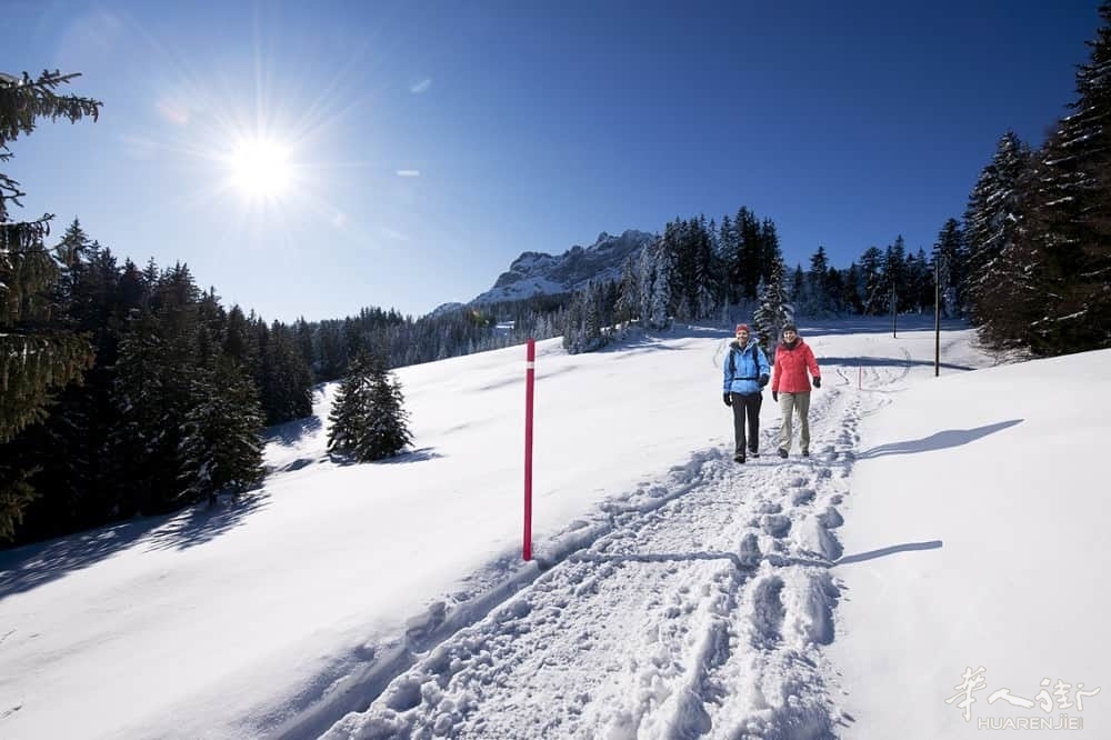 winter_Pilatus-Winterwandern-pilatusch.jpeg