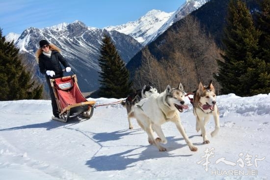 centro-italiano-sleddog.jpeg