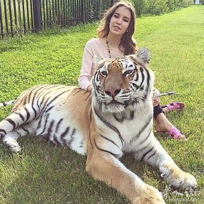 picture.jpg